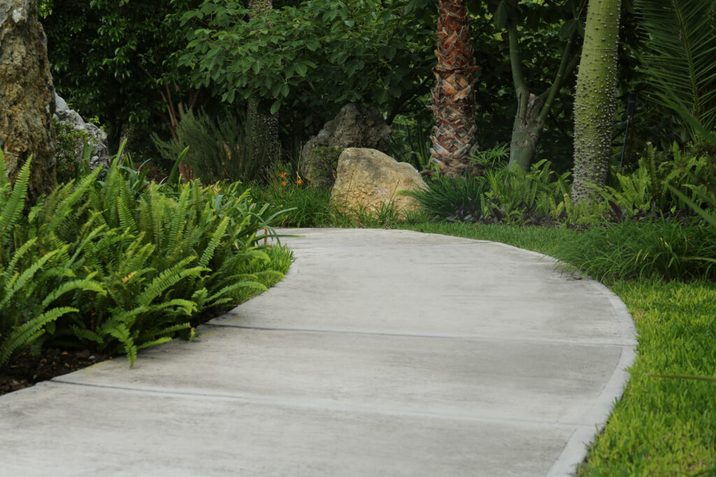 best plants for Florida landscaping | Southwest Florida landscape design by Fine Design Outdoor Solutions