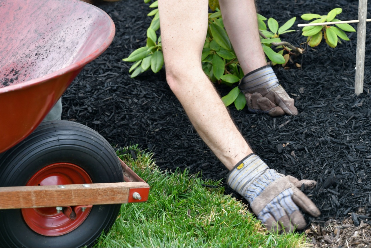 Best mulch for Florida landscaping used in a professionally designed Port Charlotte garden bed