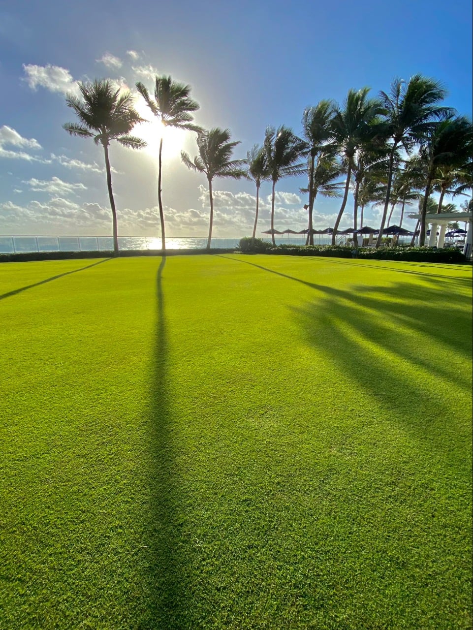 Landscaping company Port Charlotte | Fine Design Outdoor Solutions