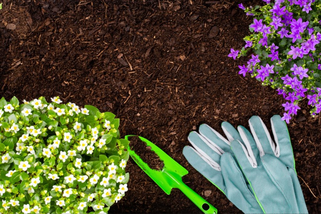 Landscape Supply Guide for Port Charlotte FL Projects 1 landscape supply guide for Port Charlotte FL projects showing mulch application in garden beds