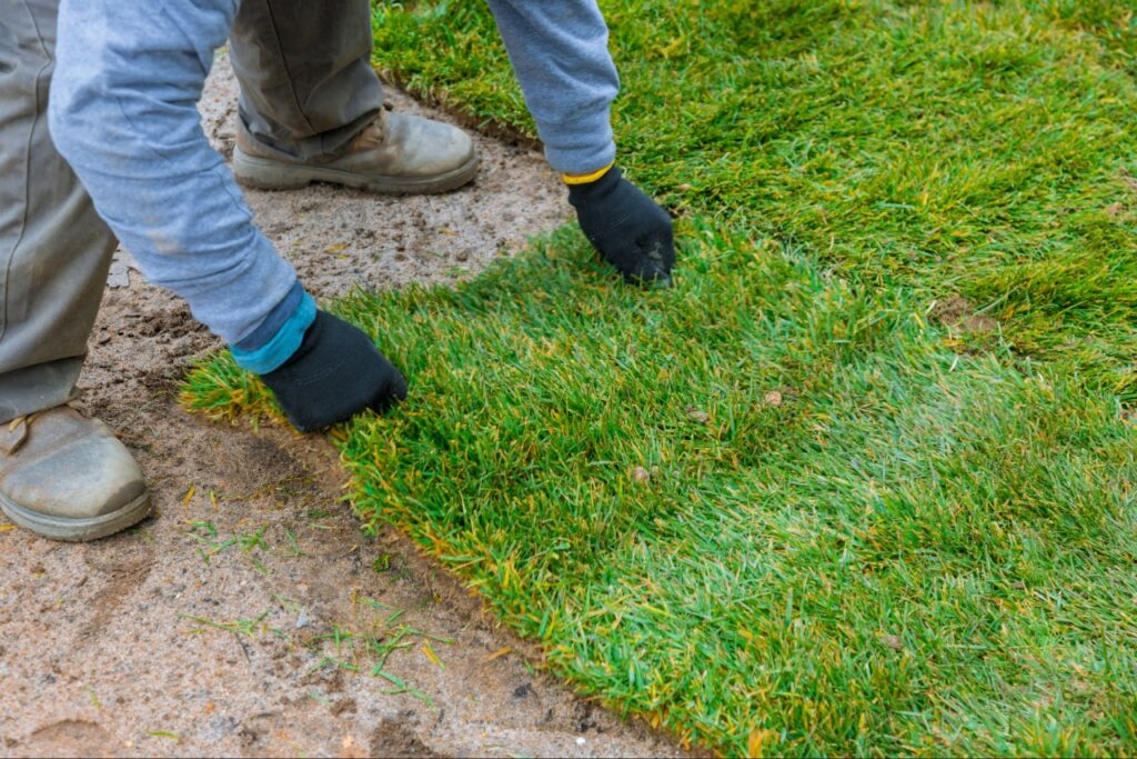 Landscape Supply Guide for Port Charlotte FL Projects 4 landscape supply guide for Port Charlotte FL projects showing sod installation for instant lawn