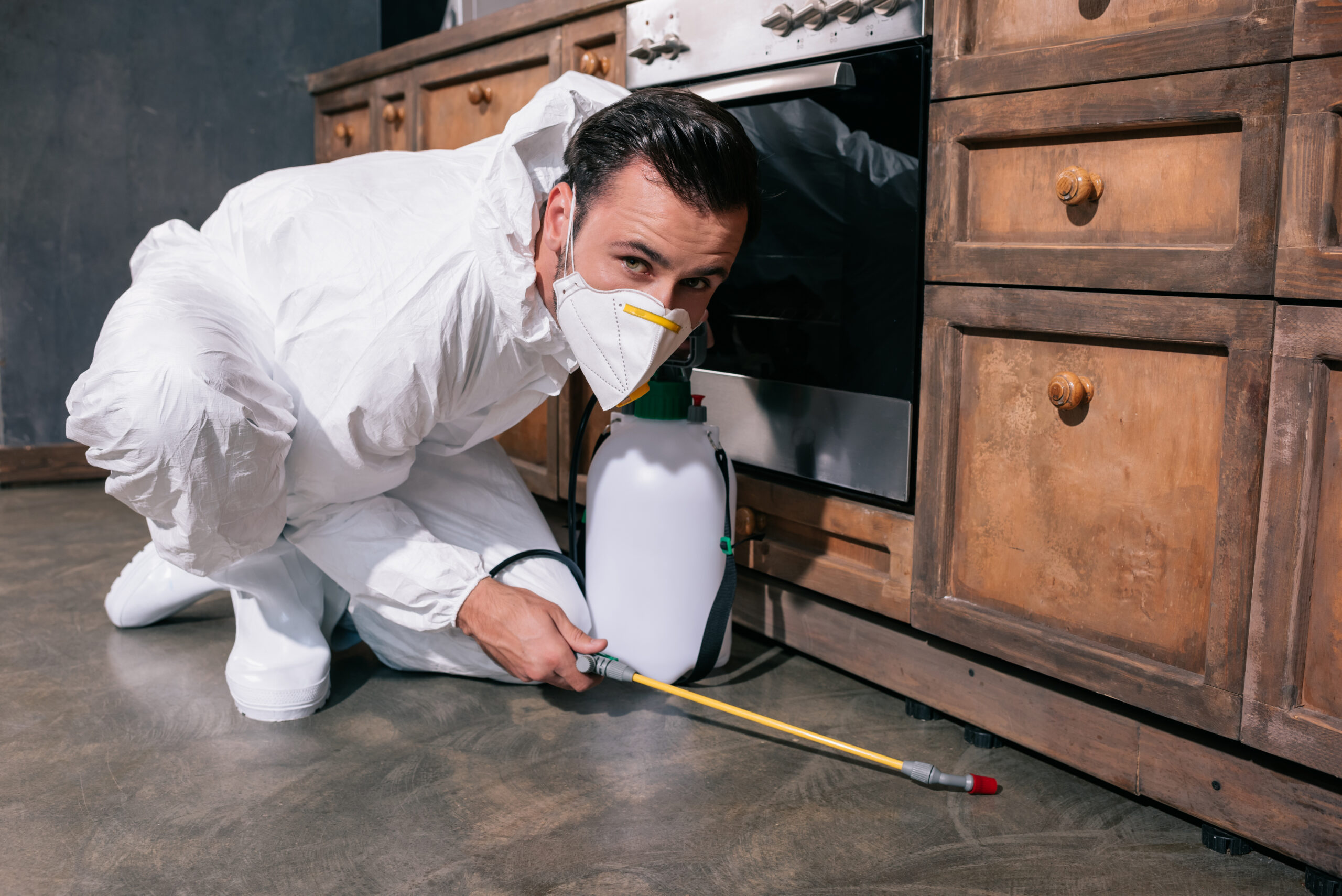 Common household pests in Southwest Florida being inspected by a pest control professional in Port Charlotte