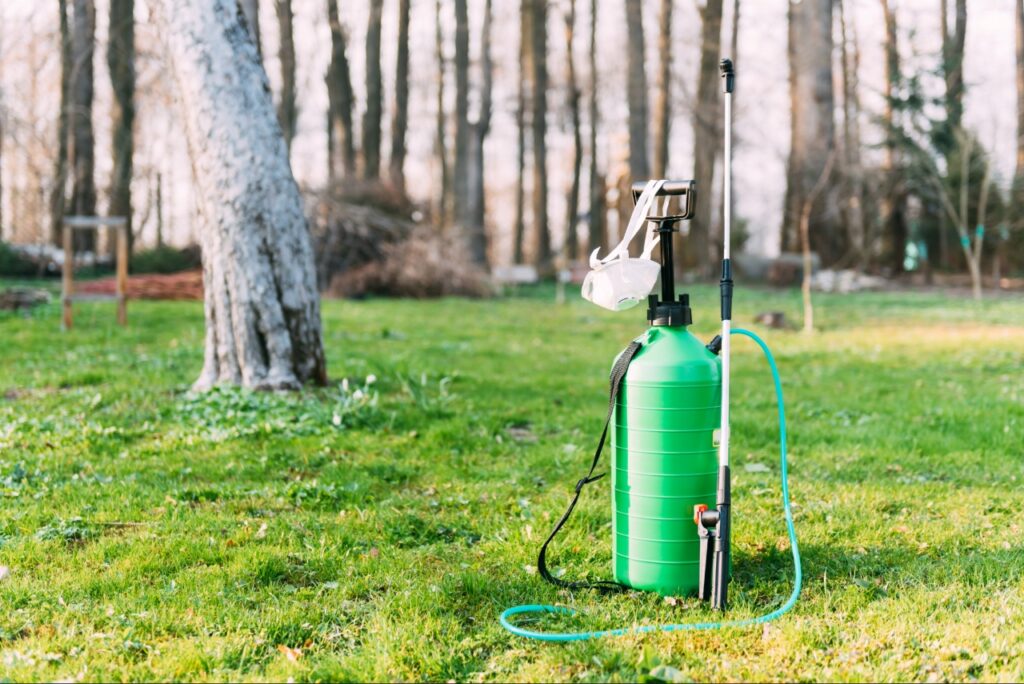 pest control tips for Port Charlotte FL homeowners reducing mosquito breeding areas in backyard
