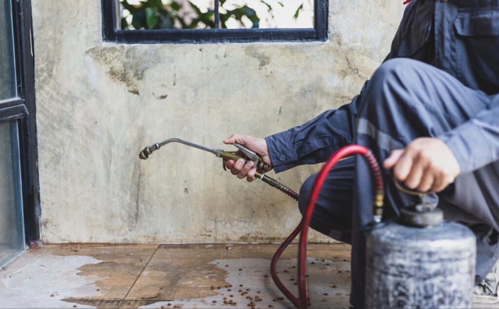 common household pests in Southwest Florida | safe pest control services protecting a Port Charlotte home from common household pests in Southwest Florida