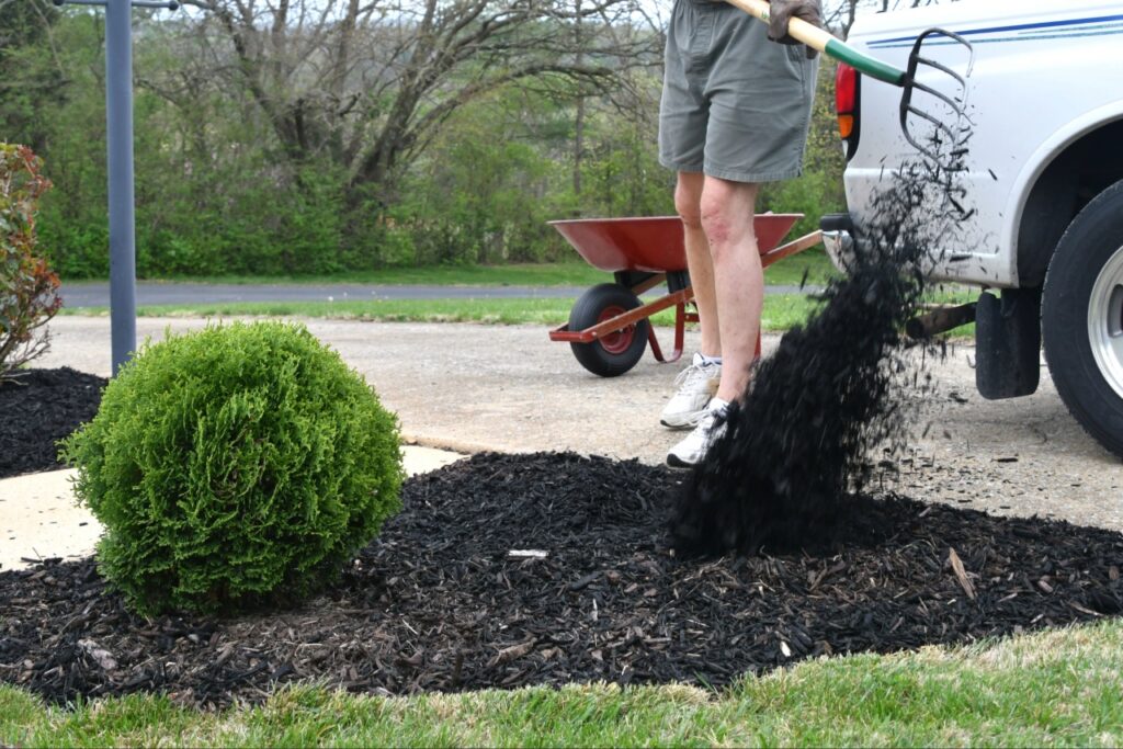 Decorative mulch for Florida landscapes enhances residential curb appeal