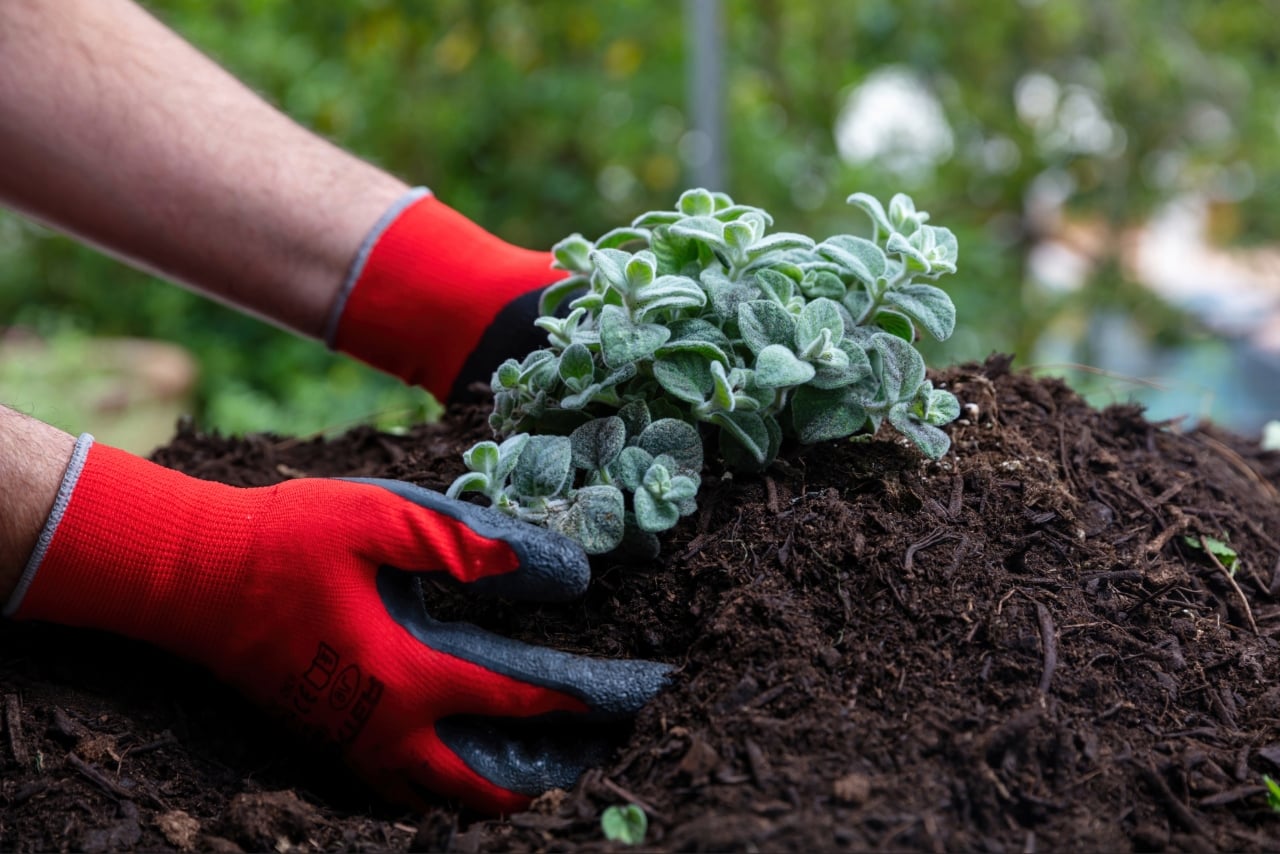 How much mulch do I need for a Florida residential landscape bed