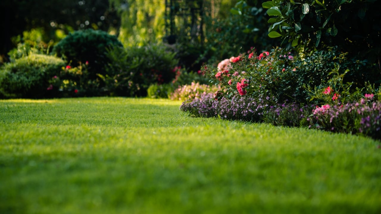 How to choose the right grass for your Port Charlotte FL lawn with a healthy residential landscape