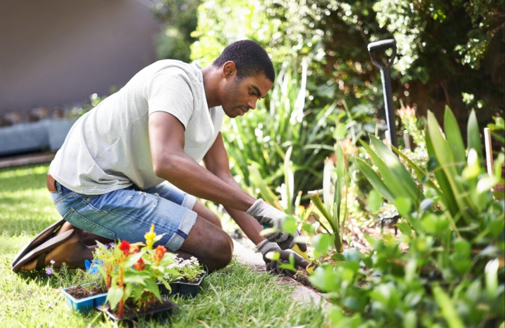 Landscape maintenance helps prevent pest infestations in Florida homes