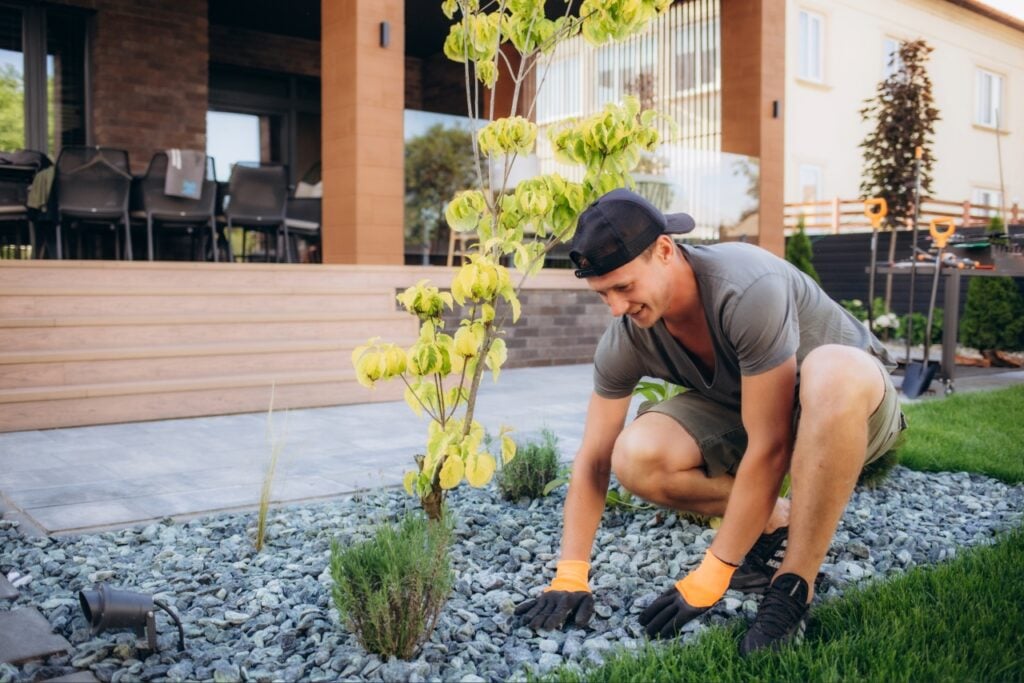 Landscaping mistakes Port Charlotte FL homeowners should avoid when planning a Florida yard