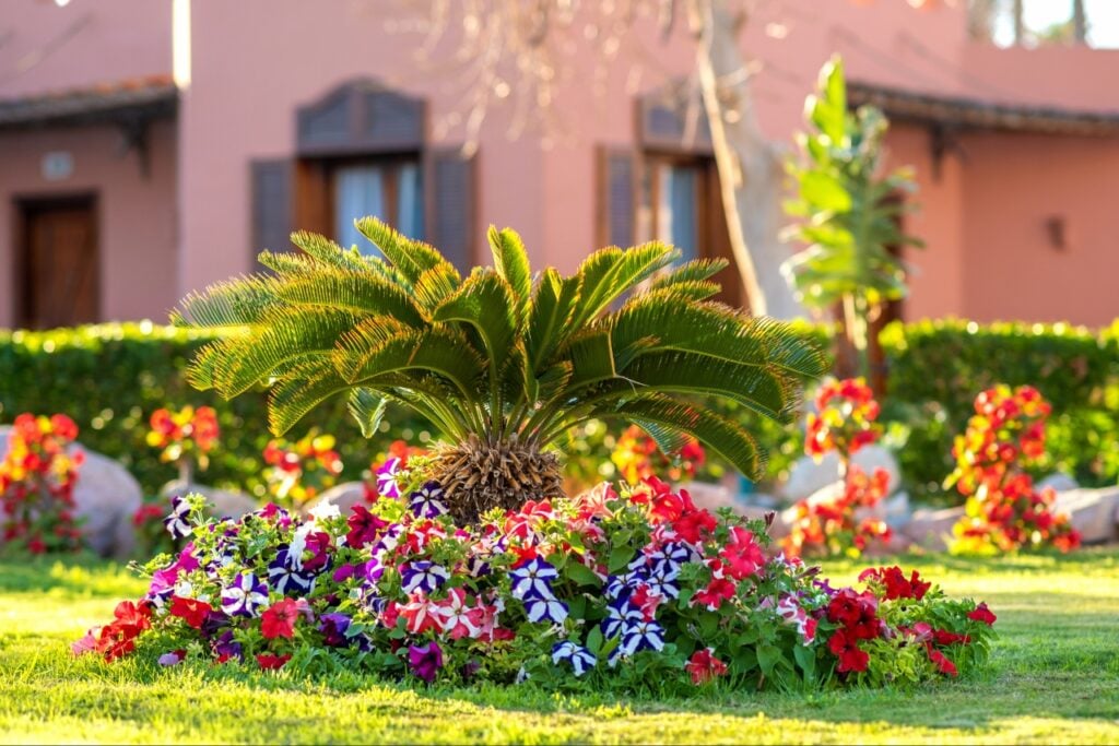 Low-maintenance landscaping Florida residential front yard