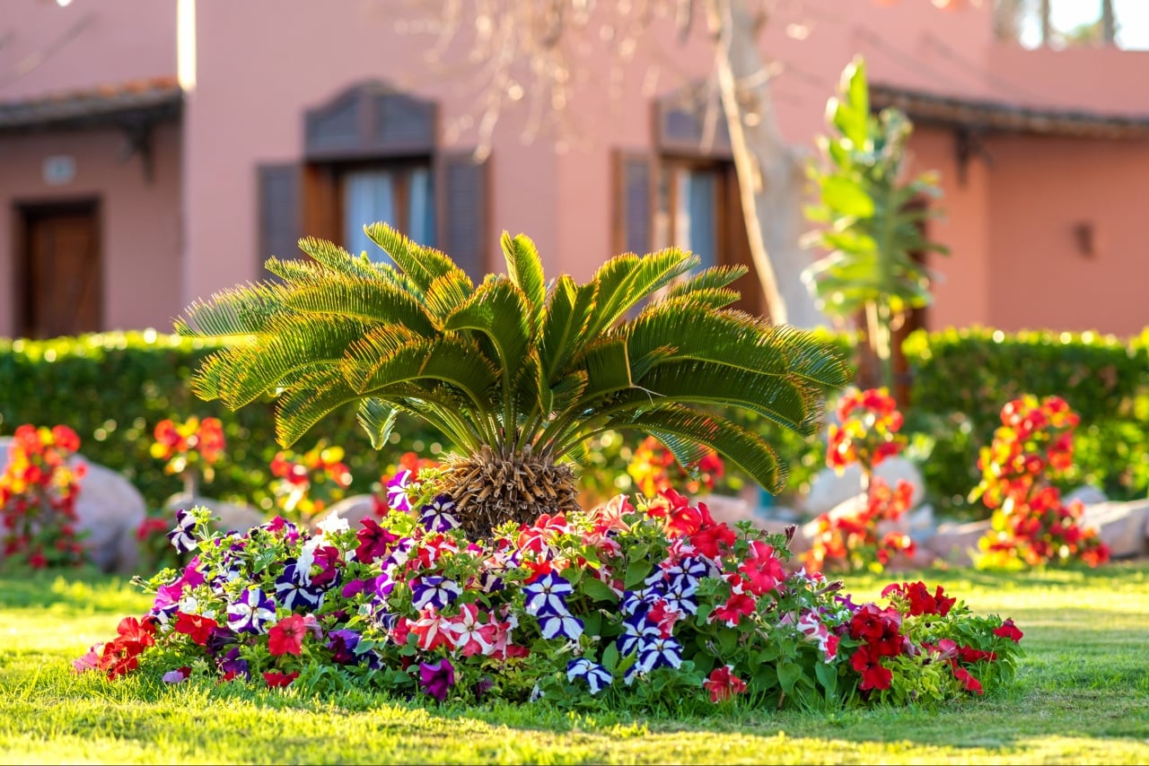 Low-maintenance landscaping Florida residential front yard