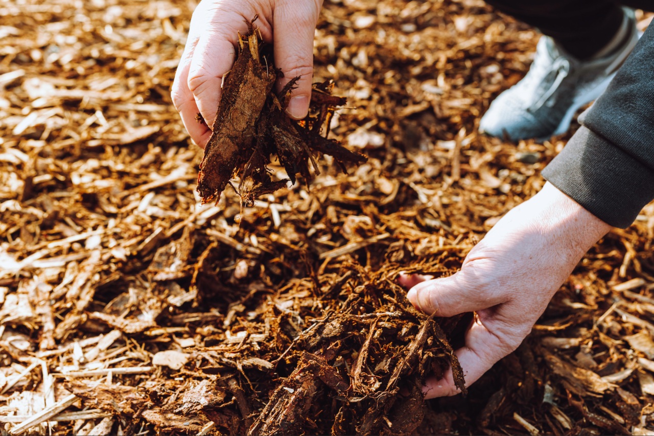 Mulch for Florida landscapes installed around shrubs and planting beds