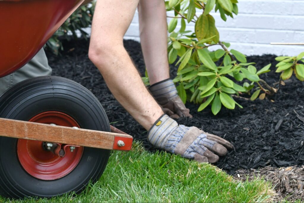 Proper mulch for Florida landscapes installed at the correct depth