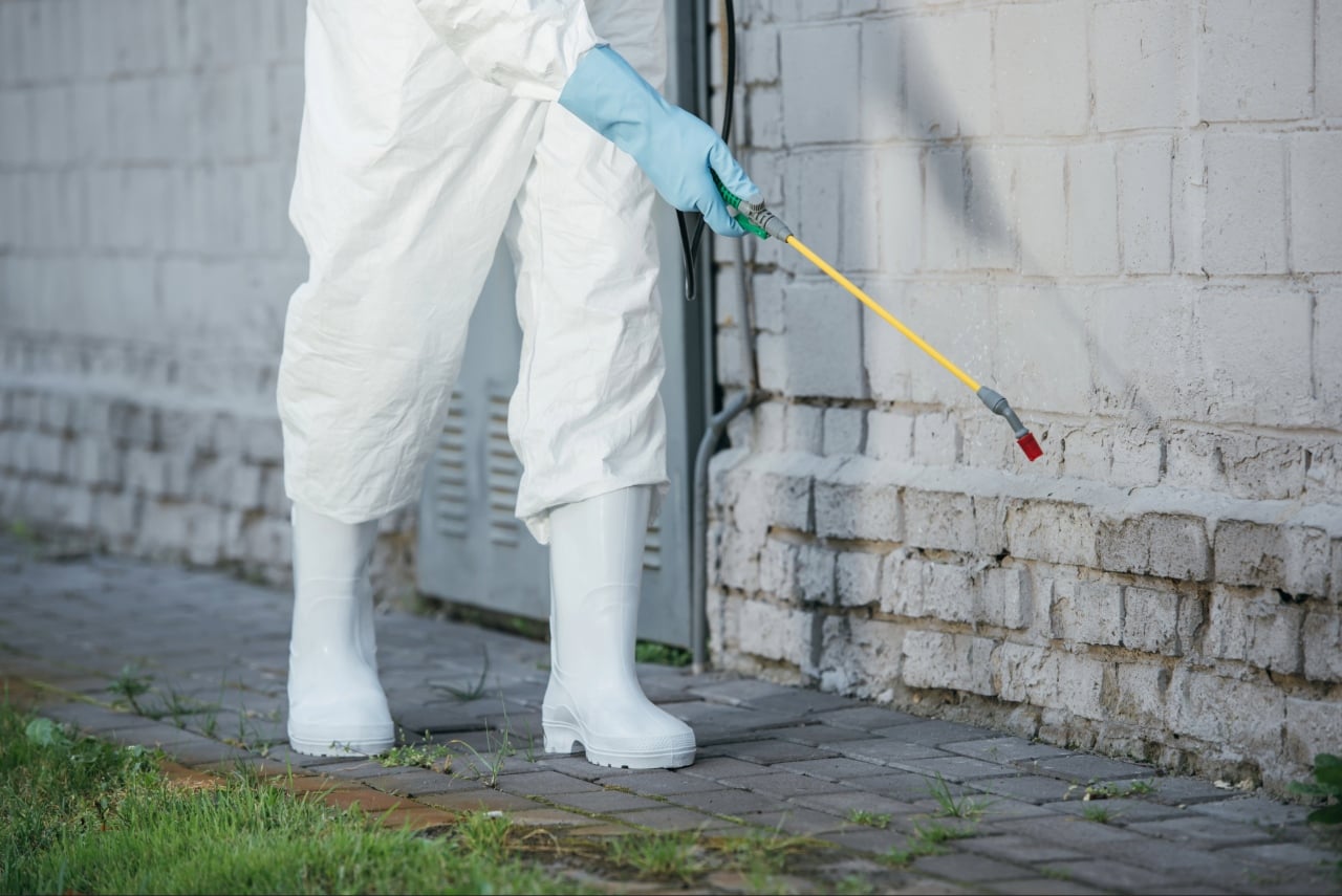 Signs you need professional pest control in Port Charlotte FL during a residential inspection