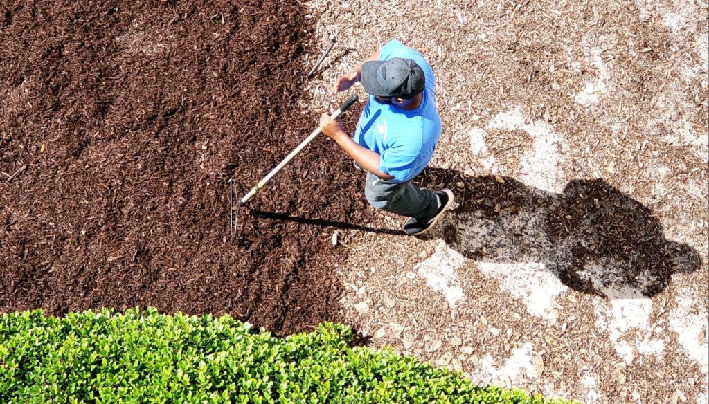 refresh mulch Florida | Applying fresh mulch around landscape plants