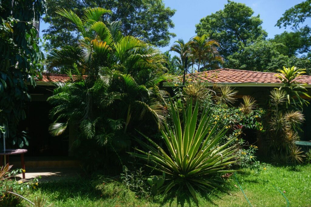 Florida climate pests around a residential home