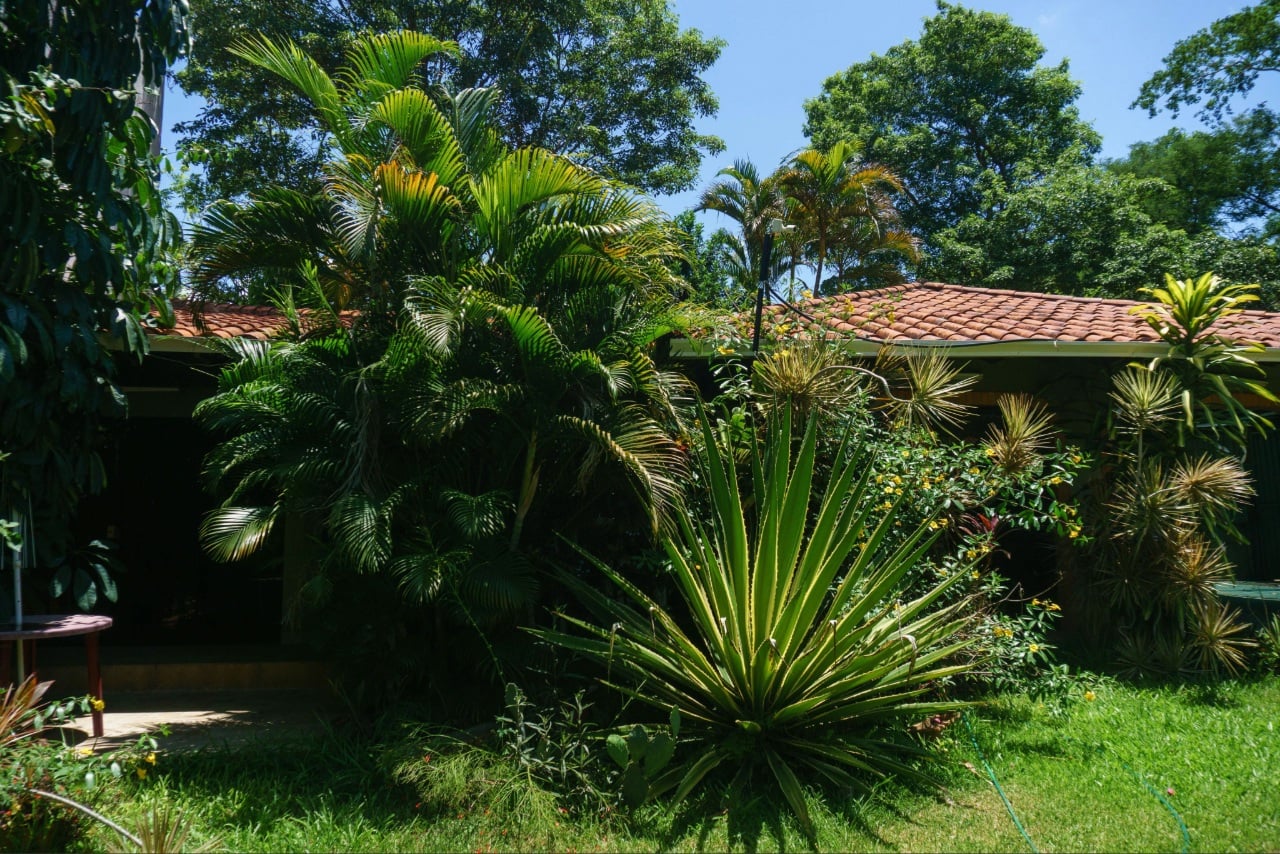 Florida climate pests around a residential home
