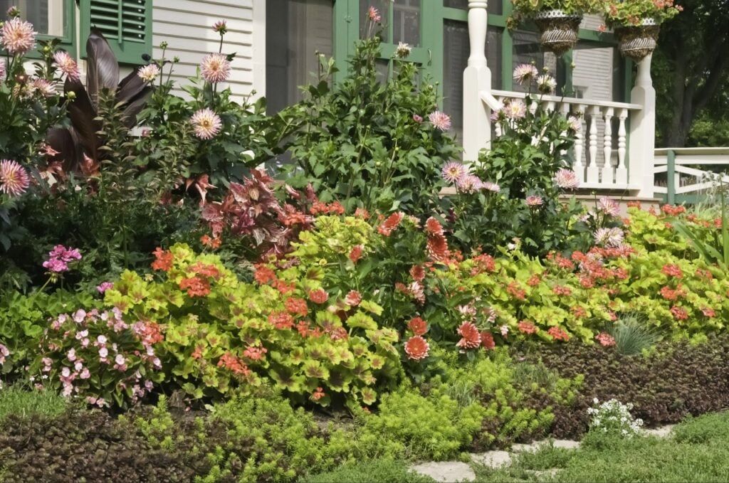 Well-maintained planting beds can immediately improve the appearance of a home's front yard.
