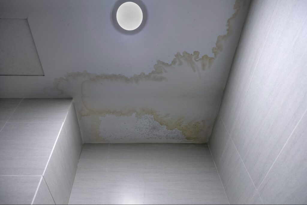 Moisture around a Florida home that can attract pests