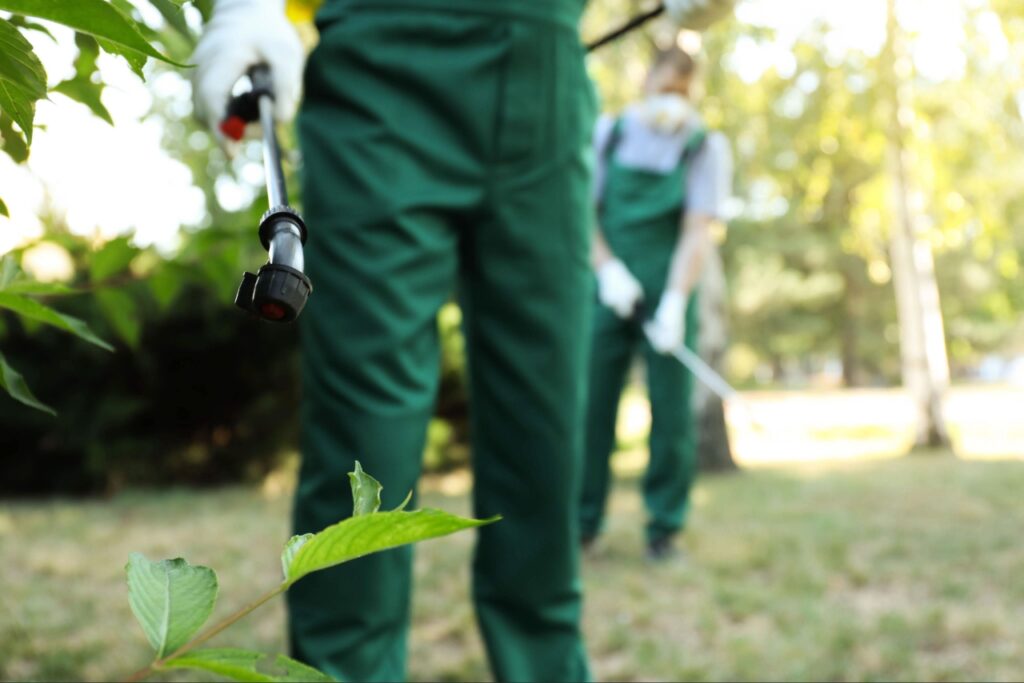 Florida home with landscaping maintained for pest prevention