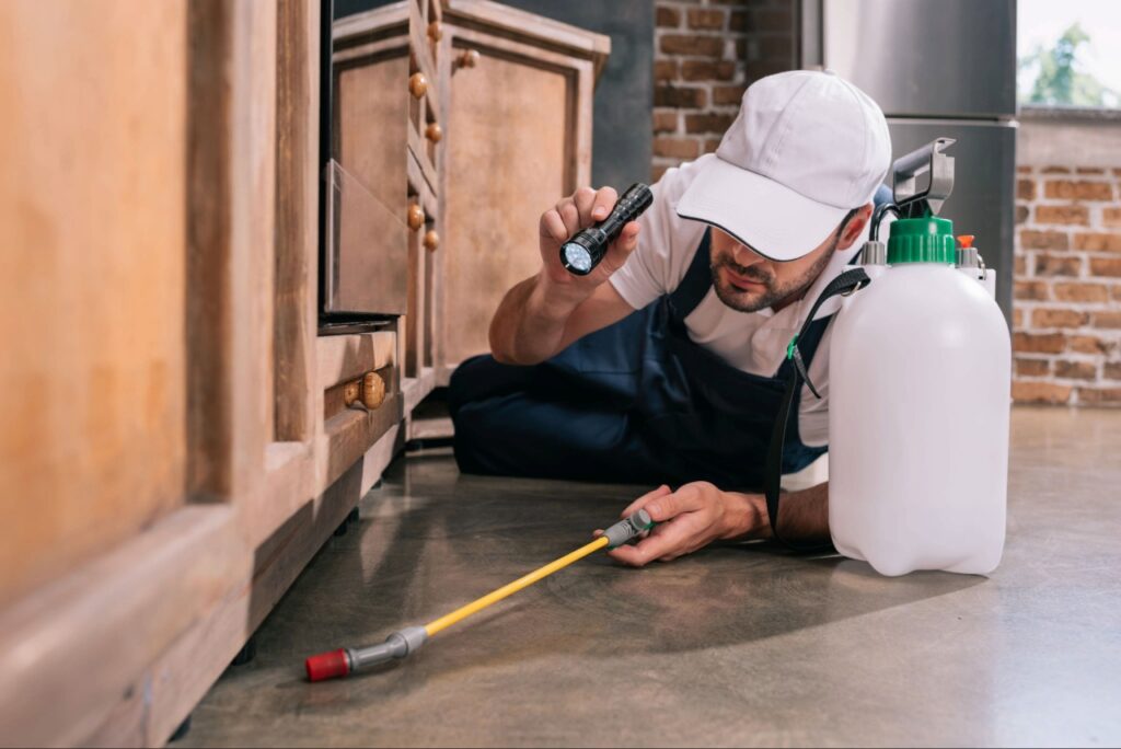 Pest prevention around a Florida residential property