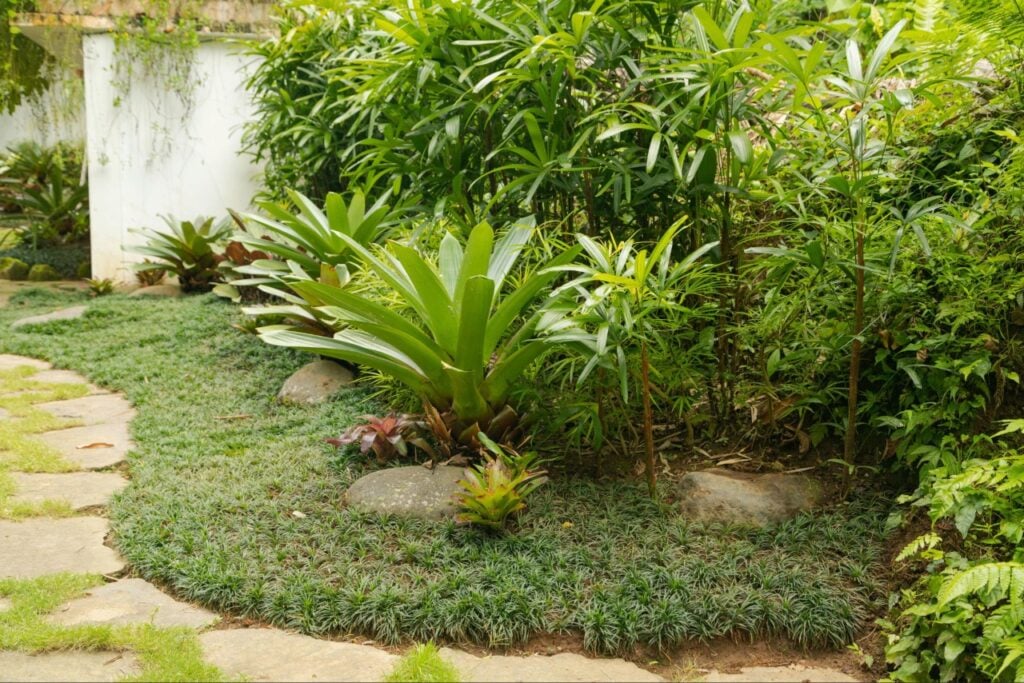 Florida landscaping ideas for small yards with plants and outdoor seating