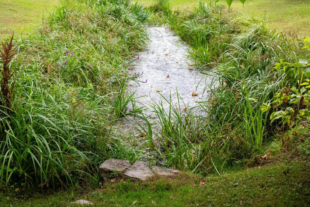 Florida lawn drainage problems caused by compacted soil