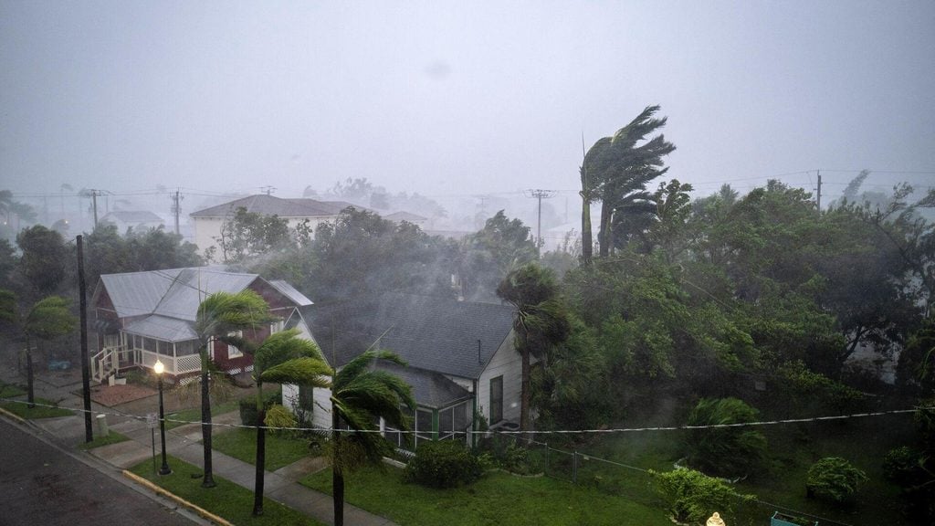 Florida rain and humidity pests around a residential home