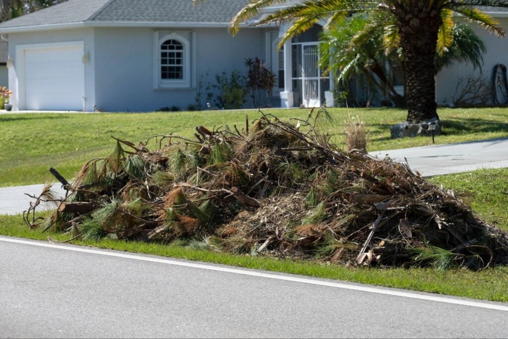 Florida yard cleanup to reduce pest harborage
