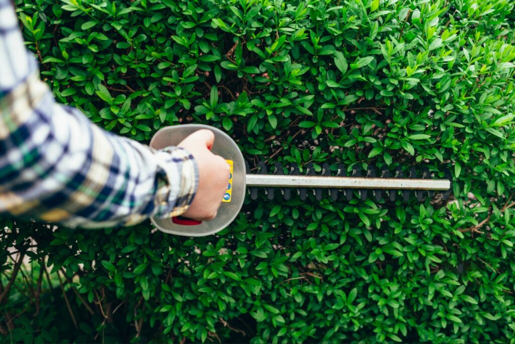 Maintaining landscaping around a home to reduce cockroach hiding places