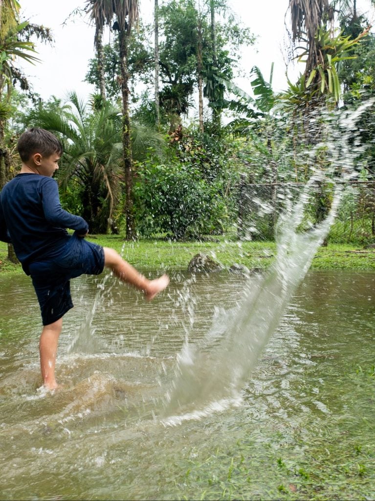 Mosquito prevention around standing water in Florida