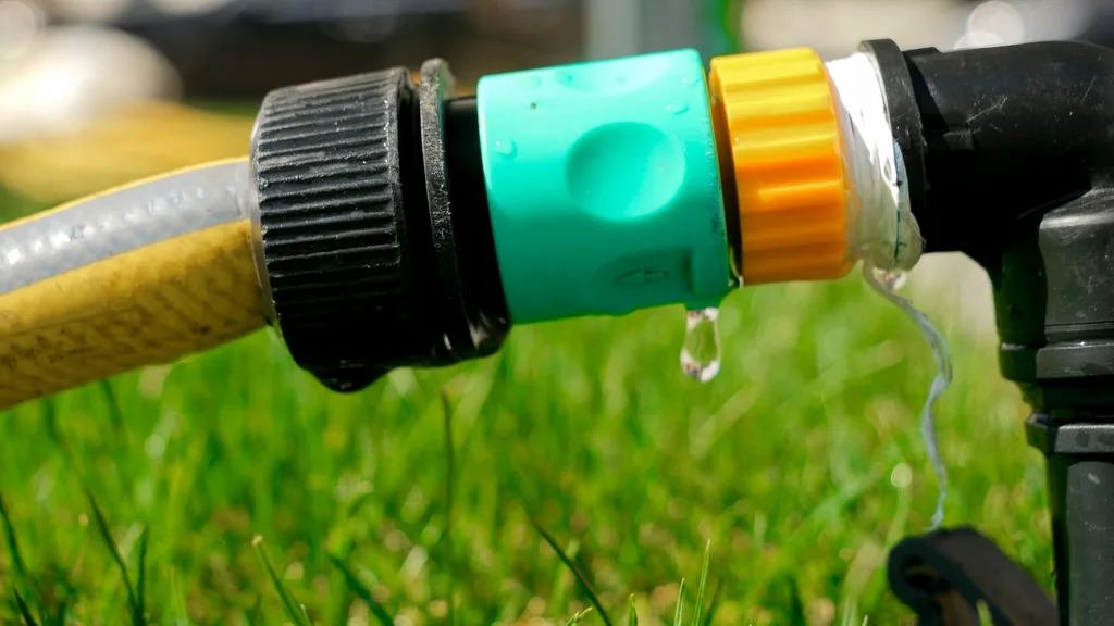 Outdoor water leak contributing to Florida pest problems