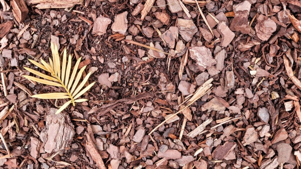 refresh mulch Florida | Pine bark mulch surrounding shrubs in a Florida landscape