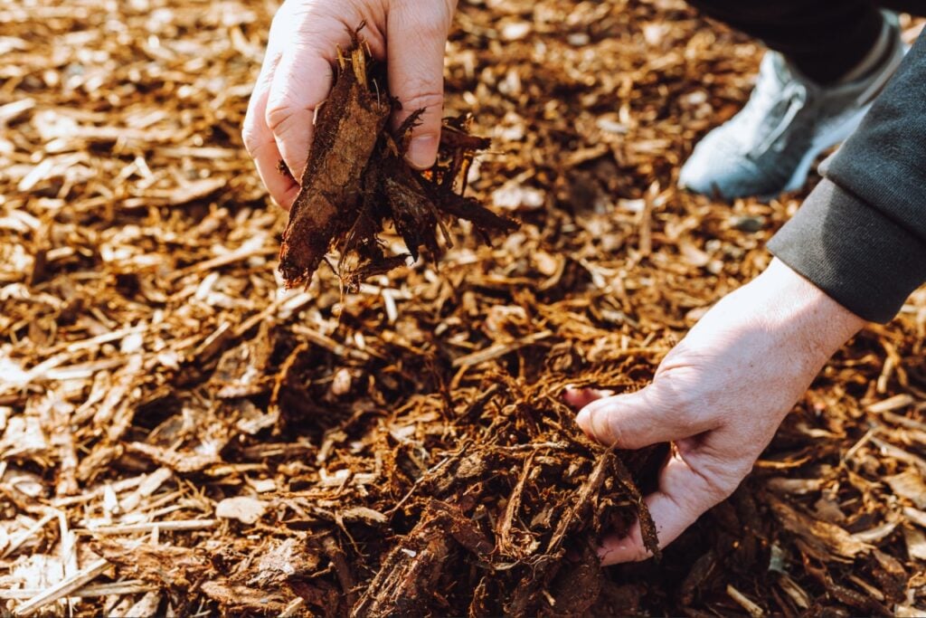 refresh mulch Florida | Fresh mulch installed in a Florida residential landscape