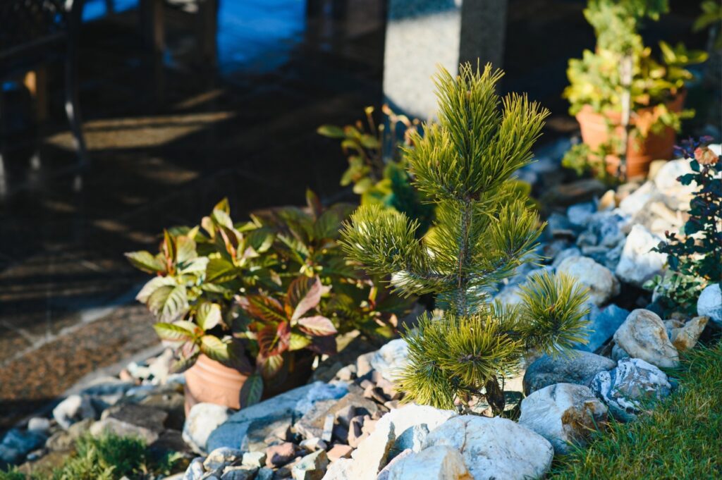 River rock and mulch used in a Florida residential landscape