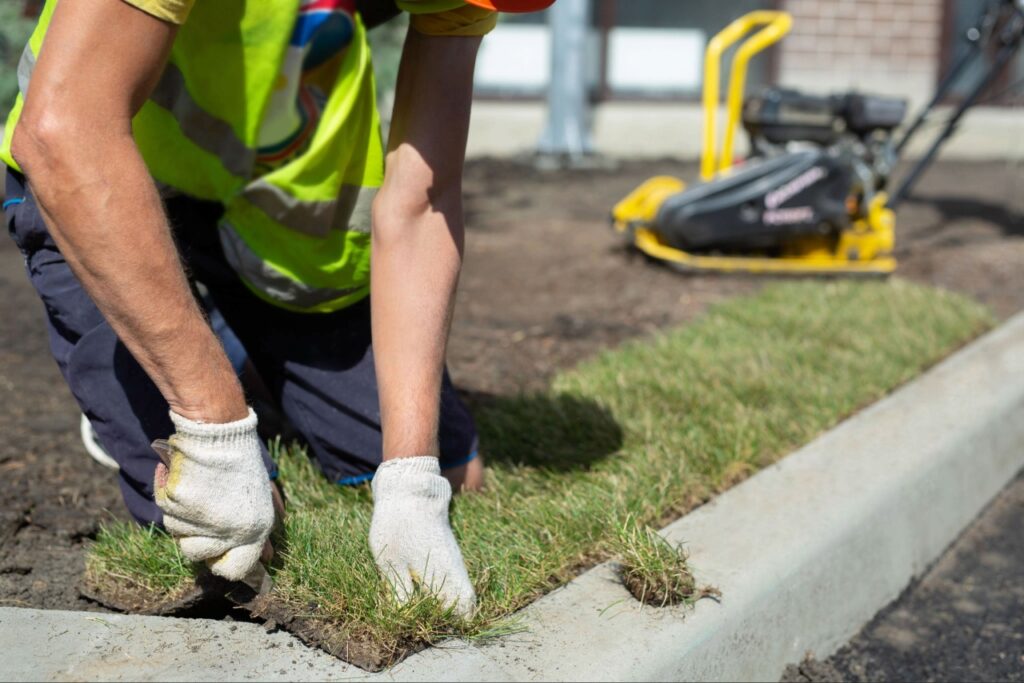 Sod being installed as a landscape material for a Florida lawn