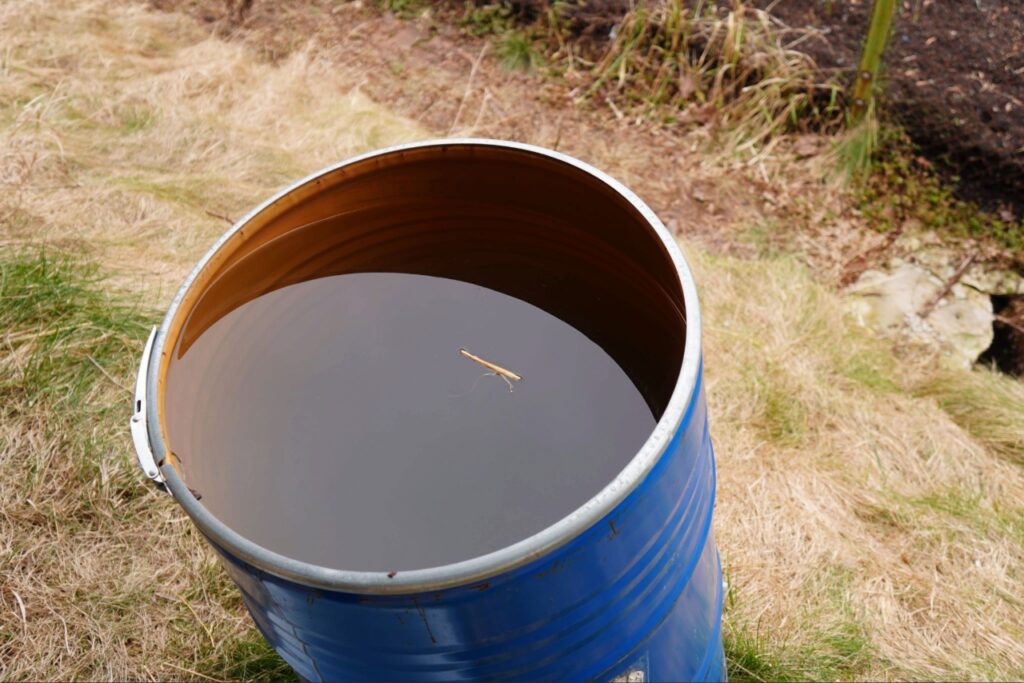 Standing water around a Florida home that can attract mosquitoes