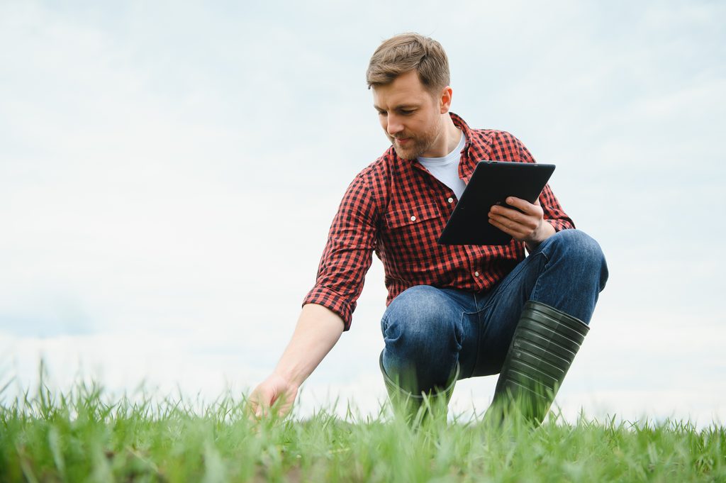 Checking soil moisture in dry patches in lawn after watering