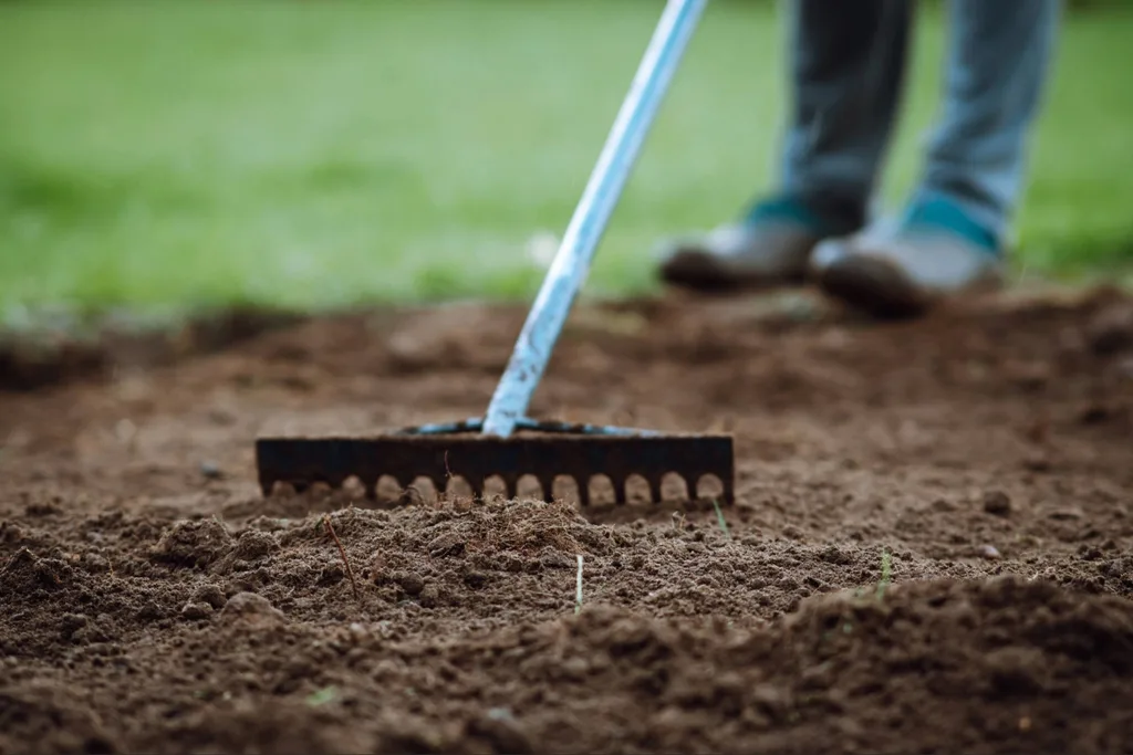 Loosening and leveling soil during sod soil preparation Port Charlotte project