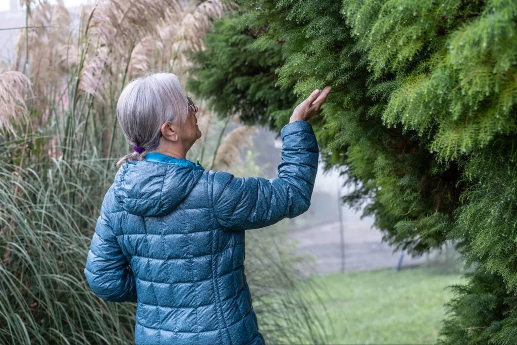 Homeowner inspecting trees before scheduling tree trimming in Port Charlotte