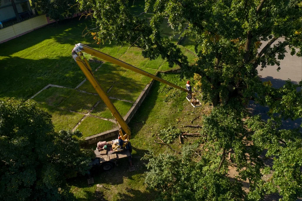 Tree trimming crew working around landscaping at a Port Charlotte home