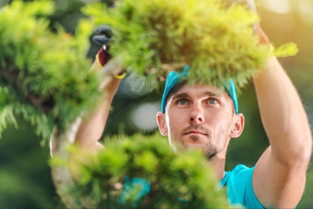 Tree trimming at a Port Charlotte home before storm season