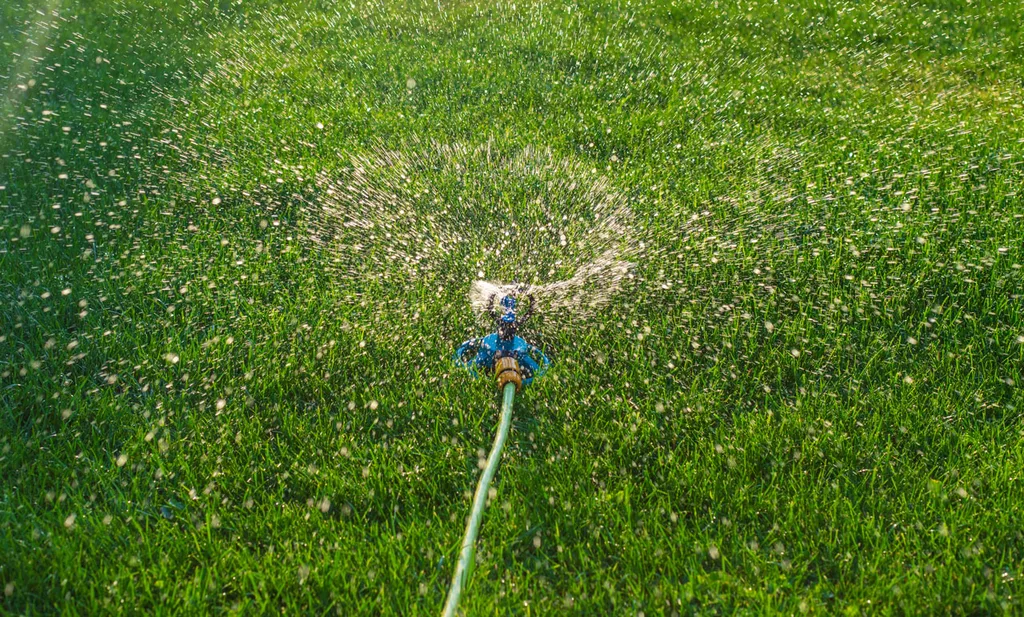 Uneven sprinkler coverage causing dry patches in lawn after watering