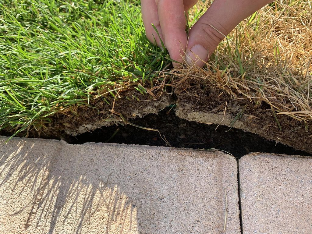 New Sod Aftercare in Port Charlotte: Watering, Foot Traffic and the First Mow 2 Homeowner checking moisture beneath newly installed sod to assess soil conditions