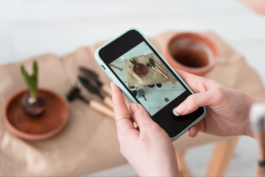Homeowner using a smartphone to photograph ants along an indoor window frame