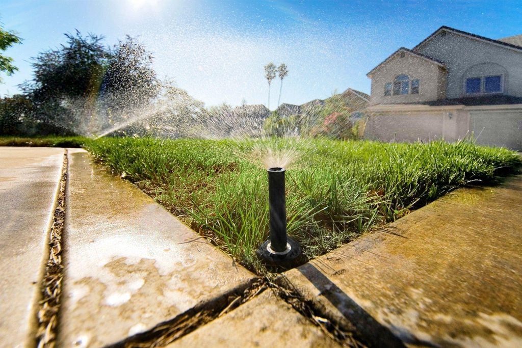 Residential irrigation sprinkler watering a lawn zone beside a landscaped planting bed