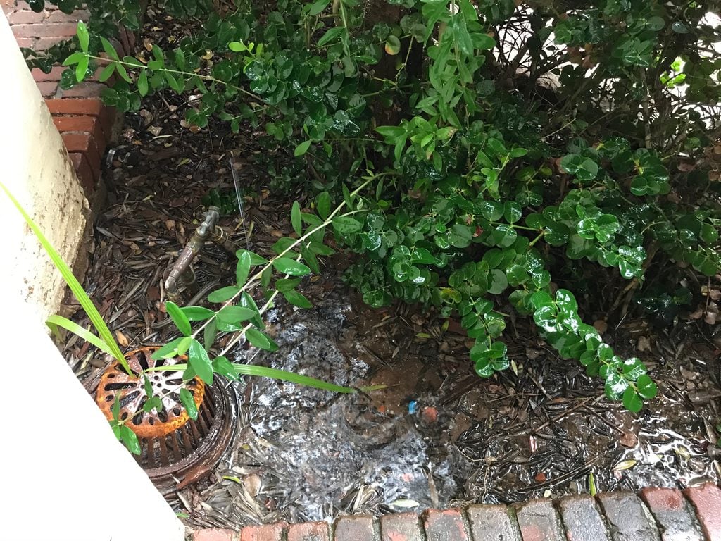 Is Concrete Curbing Right for Your Port Charlotte Landscape Beds? 3 Water pooling near a Port Charlotte landscape bed where drainage should be reviewed before concrete curbing
