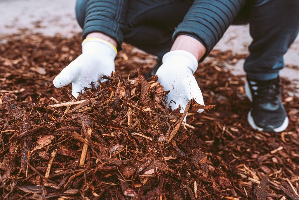 Mulch washing out after heavy rain considerations when selecting landscape mulch materials