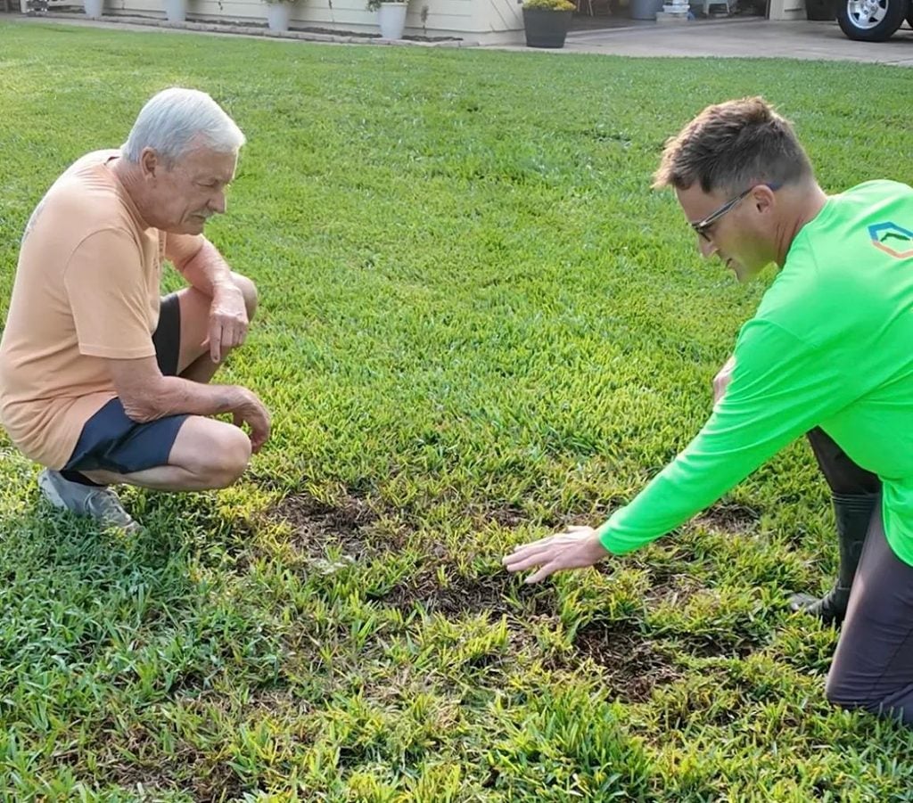 Lawn care professional discussing suspected lawn pest damage and inspection findings with a homeowner