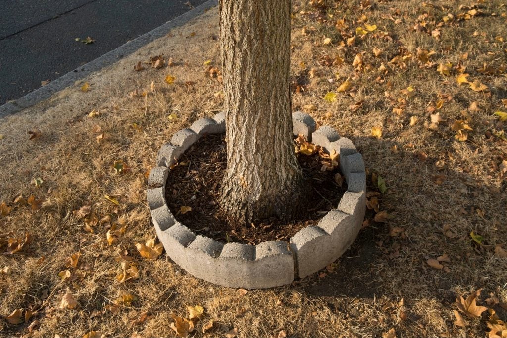 Mulched landscape bed beneath a mature tree replacing an area of thinning lawn
